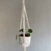 Liten Ampel - Mini