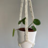 Liten Ampel - Mini - Bild 2