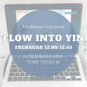 Terminskort: Flow into yin fredagar